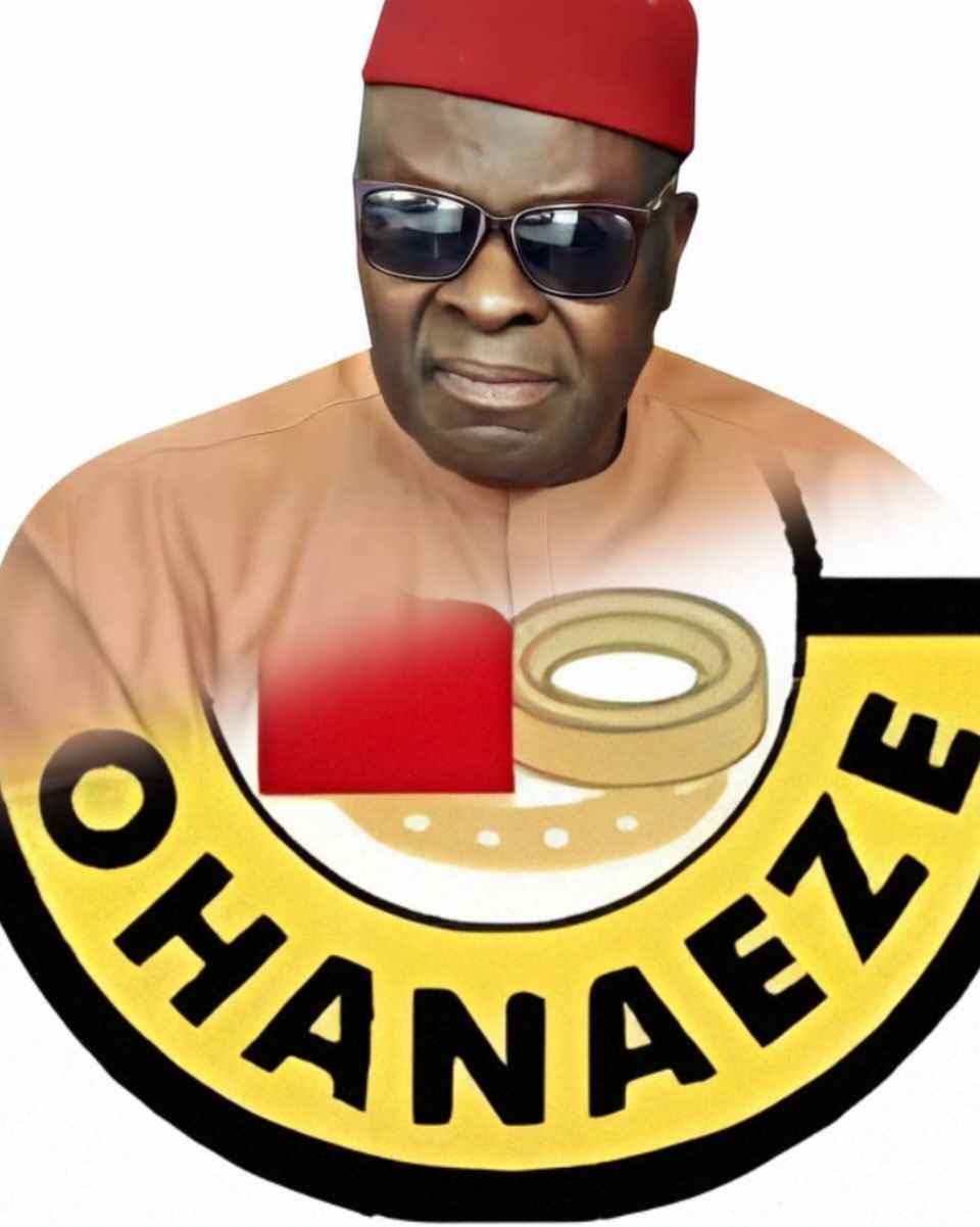 Ohanaeze Ndigbo, Pan-Igbo Group Announces Igbo Writing Competition To Immortalize Legacy of Prof. Engr. Philip Atanmo