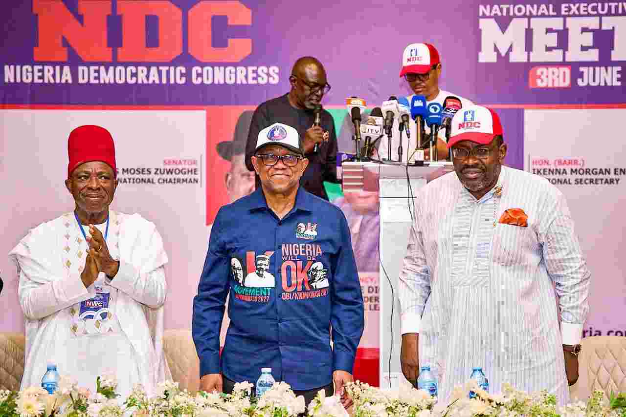 NDC tightens party control, orders financial disclosures after NEC meeting
